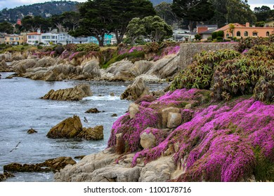 Pacific Grove, Monterey Peninsula, California