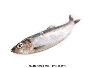 Pacific Herring Isolated On White