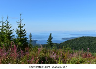 Pacific North West, Mountain View 