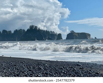 Pacific Northwest Beach with Driftwood and Islands - Powered by Shutterstock