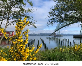 Pacific Northwest Coast, Yellow Flowers, Bridge