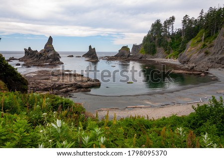 Pacific ocean bay rock formation islands sheer cliff forest trees on coastline northwest Washington USA