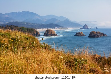 Pacific ocean coast