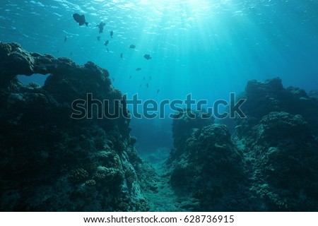Pacific ocean floor underwater seascape with some fish and natural sunlight through water surface, fore reef of Huahine island, French Polynesia