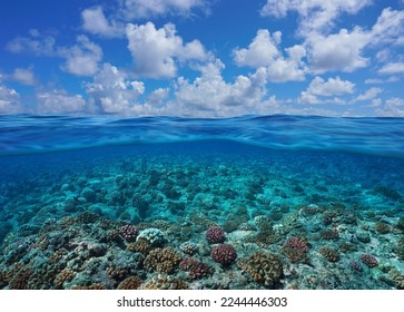 Pacific ocean seascape, coral reef underwater with blue sky and cloud, split level view over and under water surface, French Polynesia