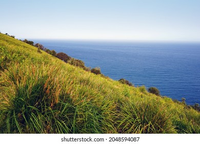 Pacific Ocean As Seen From Bald Hill Look Out.