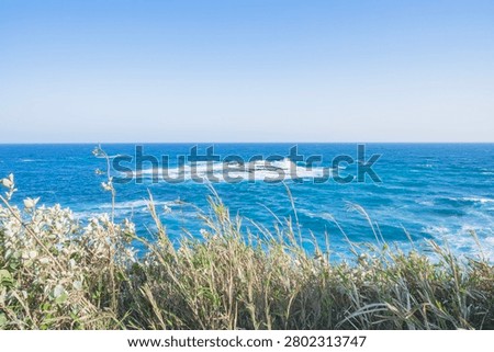 The Pacific Ocean as seen from Ubara Utopia in Katsuura City
Scenic Spots in Chiba, Japan
