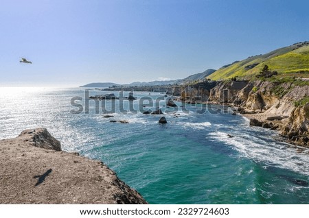 Pacific Ocean view in Pismo Beach California during spring with blue water, green hills, and golden cliffs. Seagull soaring casting shadow on bluff. Shore Cliff Hotel facing north.