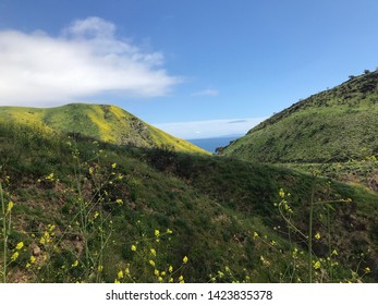 Pacific Ocean View From Solstice Canyon In Malibu. 