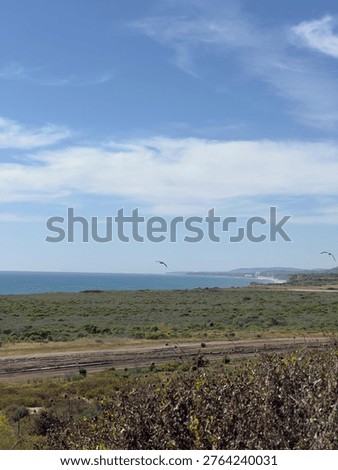 The Pacific Ocean viewed from a Camp Pendleton vista point with birds soaring over the water.
