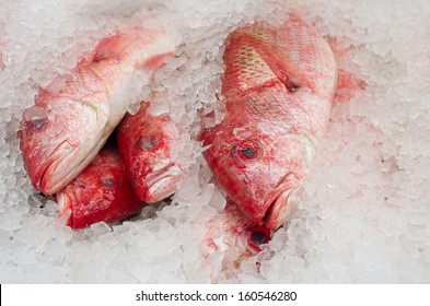 Pacific Red Snapper. Photo taken at a fish market in Los Angeles, California, USA - Shutterstock ID 160546280