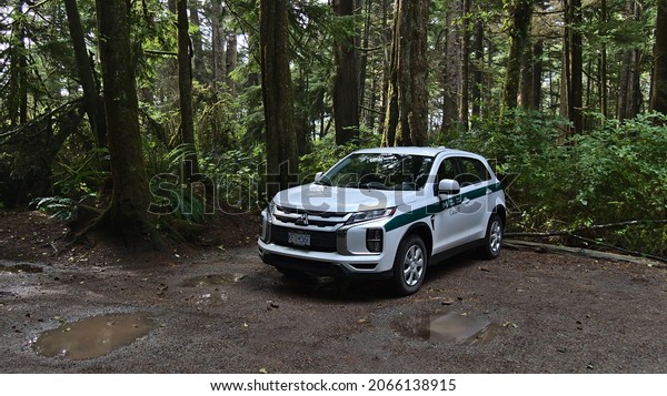 Pacific Rim National Park, British Columbia, Canada\
- 09-27-2021: Parks canada vehicle with white paint and green\
stripe parking in forest near Florencia Bay, Vancouver Island.\
Focus on front of car.