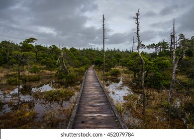 - Pacific Rim National Park - Vancouver Island - Canada