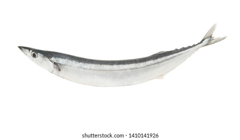 603 Saira fish Images, Stock Photos & Vectors | Shutterstock