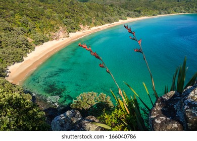 Pacific Sea Coast, Coromandel Peninsula, North Island, New Zealand