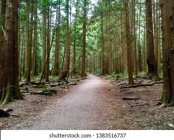 Pacific Spirit Park Vancouver Bc Canada Stock Photo 1383516737 ...