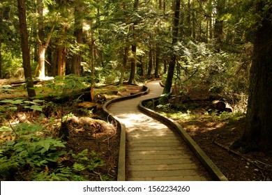 Pacific Spirit Regional Park, Vancouver, British Columbia, Canada