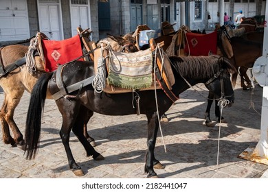 A Pack Mule In Small Mediterranean Town Street In Suny Summer Day