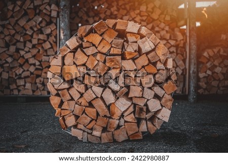 A package of dry firewood for heating the house. A bundle of firewood. Beech wood in a package.