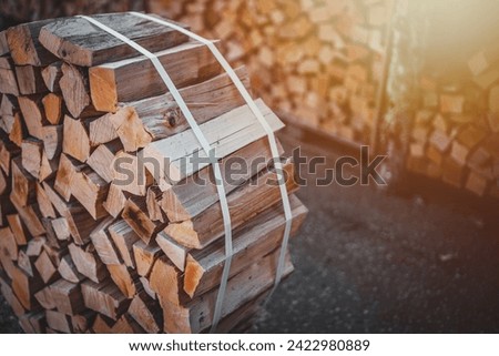 A package of dry firewood for heating the house. A bundle of firewood. Beech wood in a package.