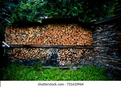 Packed Bundles Of Firewood For The Winter