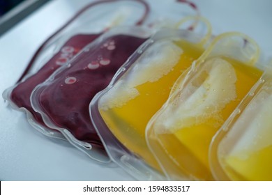 Packed Red Cell (PRC) And Fresh Frozen Plasma (FFP) Bags For Blood Transfusion 