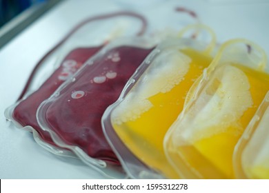 Packed Red Cell (PRC) And Fresh Frozen Plasma (FFP) Bags For Blood Transfusion