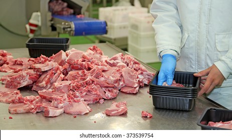 Packing Of Meat Slices In Boxes. Fresh Raw Pork Chops In Meat Factory. 
Meat Processing In Food Industry. Packaging Of Raw Meat On The Production Line.