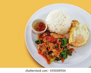 Pad Gaprao (Pad Kra Pao) Thai stir-fried duck with holy basil, rice and fried egg isolated on yellow background. Local food Thailand.