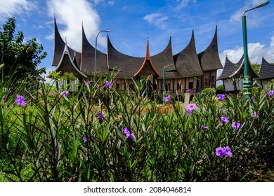 Panjang Images, Stock Photos & Vectors  Shutterstock