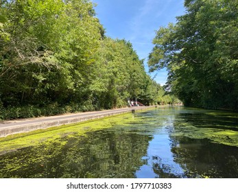 Paddington Canal In Summer By Boat