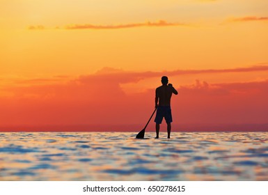 Paddle boarder. Black sunset silhouette of young sportsman paddling on stand up paddleboard. Healthy lifestyle. Water sport, SUP surfing tour in adventure camp on active family summer beach vacation.