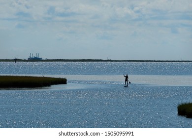 Paddle Boarder On The Barnegat Bay