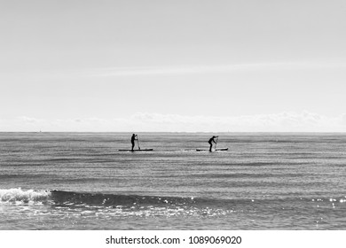 paddle boarding silhouettes in a calm mediterranean sea, black and white photo with free space for text - Powered by Shutterstock