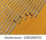 Paddy Drying Process in Rice Mill