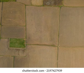 Paddy Field Aerial View From A Village 