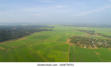 Paddy Field Areal View Taken With Phantom 4 Pro