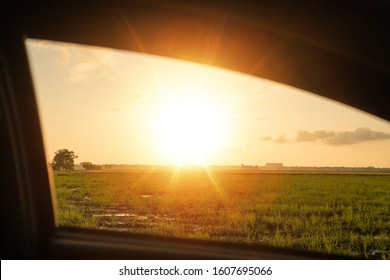 Paddy Field With Background Sunset, View From The Window Car