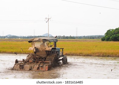 Paddy field preparation by using tractor