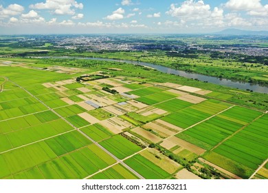 Paddy field scenery in Abiko City, Chiba Prefecture - Shutterstock ID 2118763211