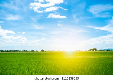 104,952 Blue sky and paddy field Images, Stock Photos & Vectors ...