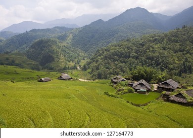 Paddy Fields, Village And A Jungle In Northern Vietnam