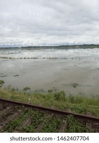 The Paddy Fields Were Filled With Water Of The Barak River, In Cachar District, Assam.