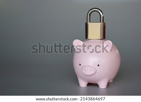 Padlock on top of piggy bank with copy space. Confiscation, account freeze, financial embargo.