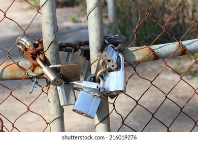 Padlocks on gate