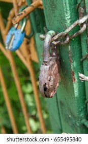 Padlocks on a gate
