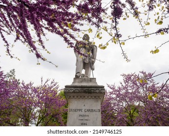 Padova Giuseppe Garibaldi Statue Monument