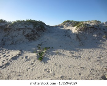 Padre Island National Seashore, Texas