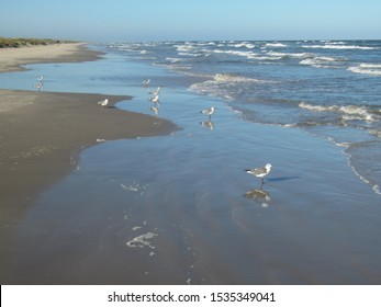 Padre Island National Seashore, Texas