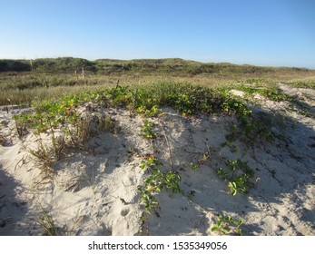 Padre Island National Seashore, Texas